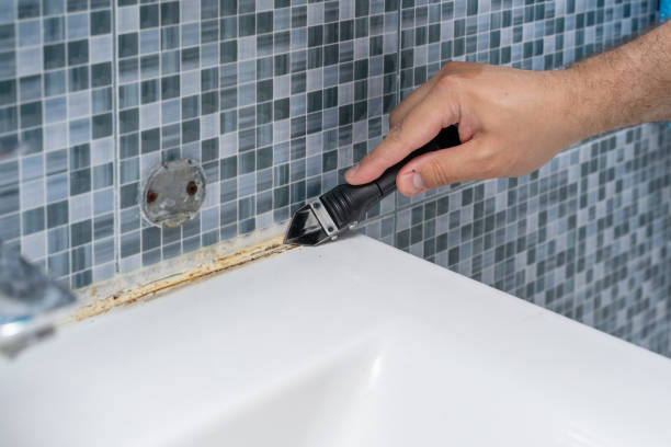 Best Toxic Mold Removal  in Buhl, MN